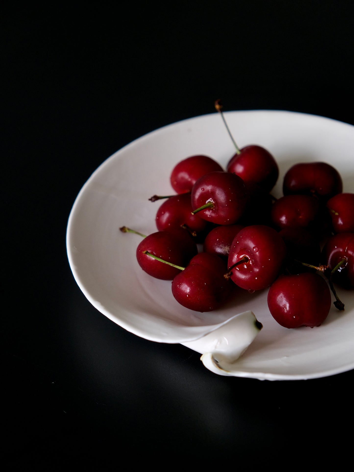 White Porcelain Saucer (白瓷壶托) - inner.teahouse
