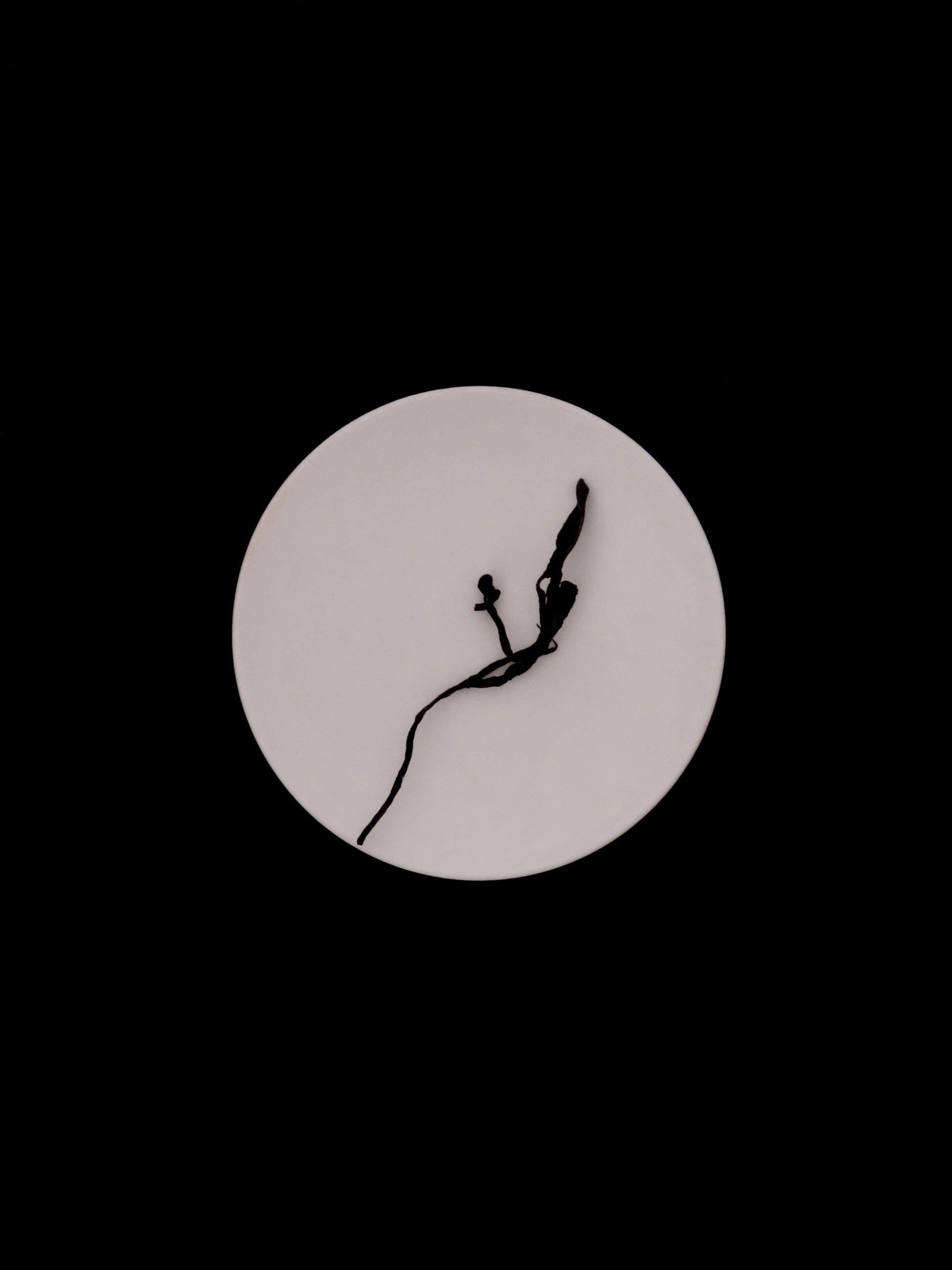 White Tea - innerteahouse