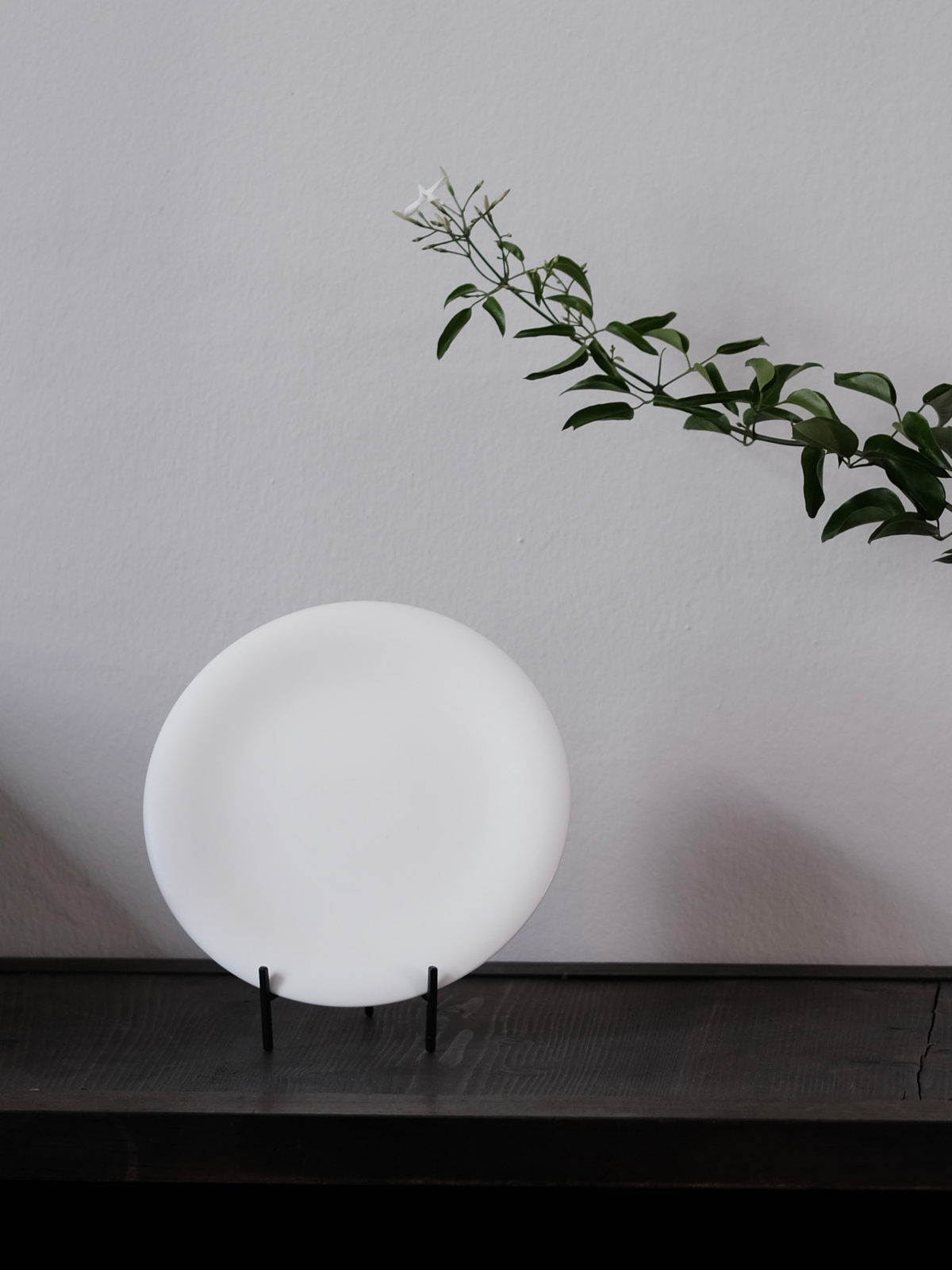 White Tea - innerteahouse
