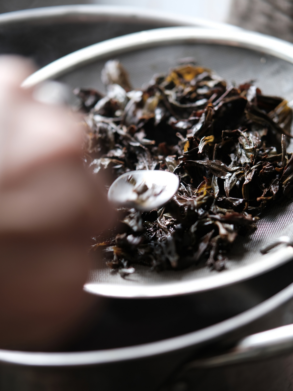 White Tea - innerteahouse