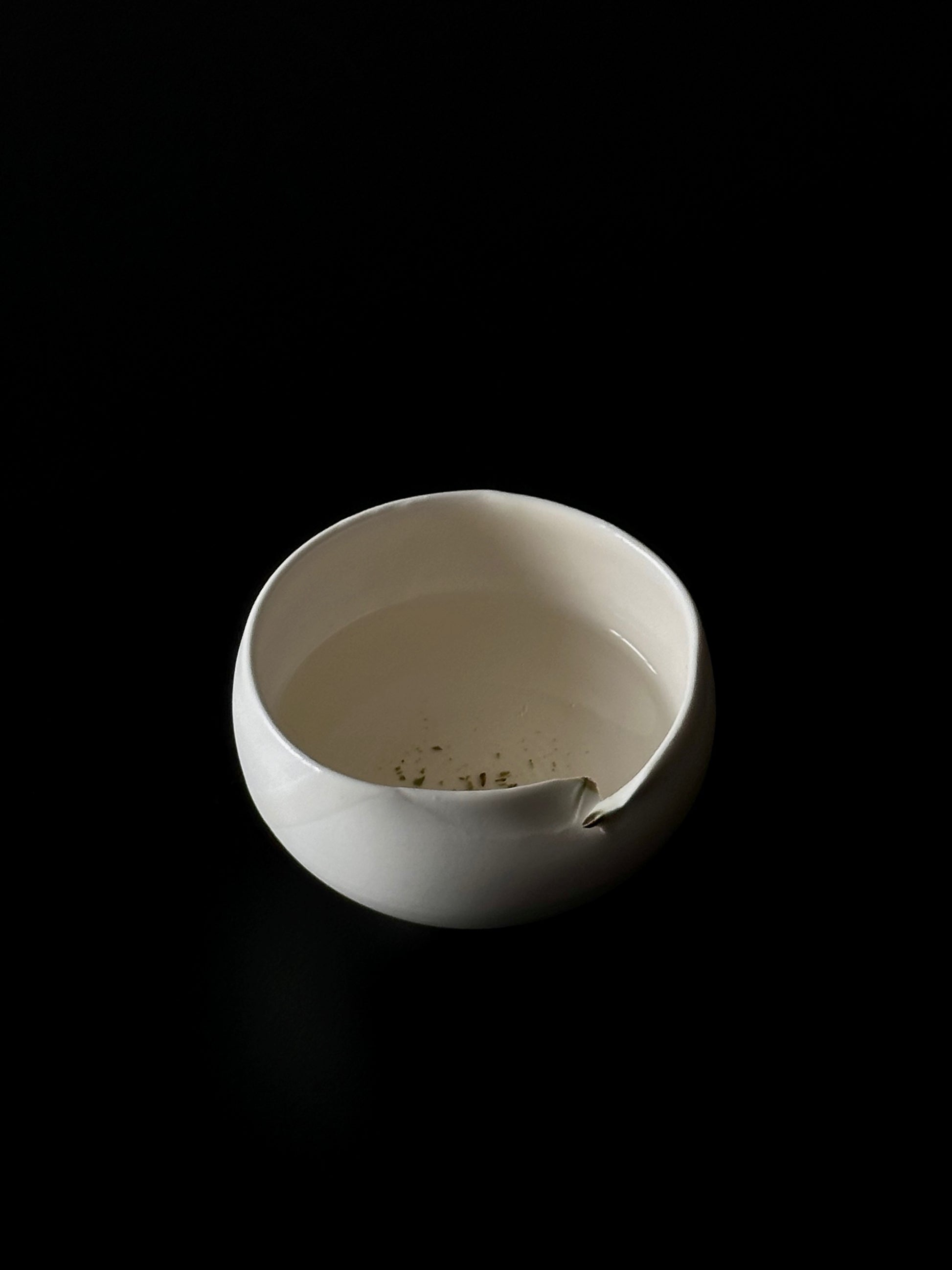 Bai Hao Yin Zhen (白毫银针) - inner.teahouse