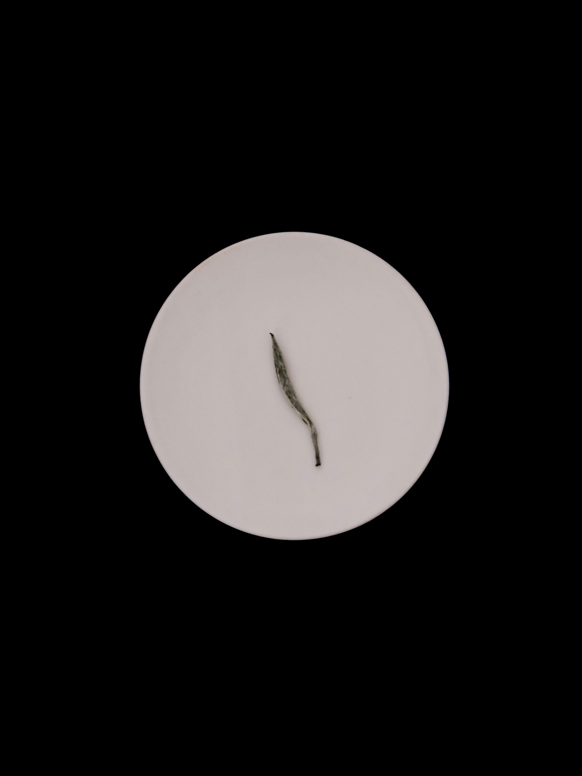 White Tea - innerteahouse